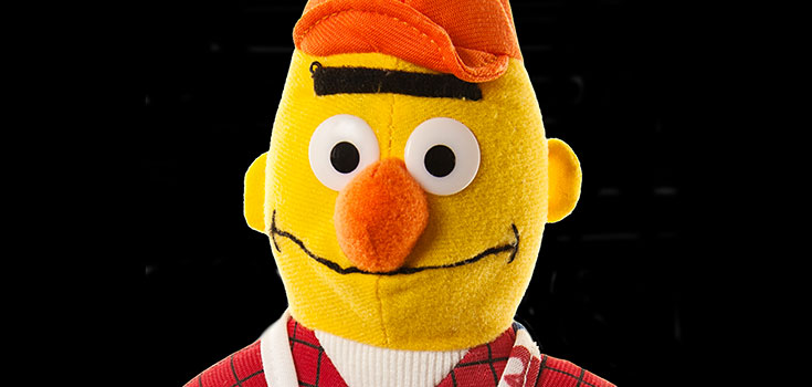 Bert