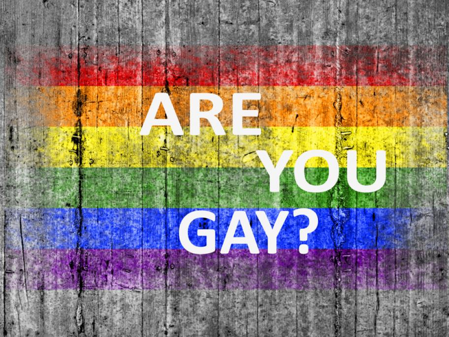 gay flag