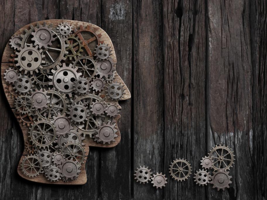 brain function