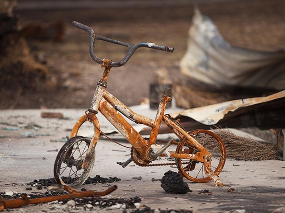Bushfires