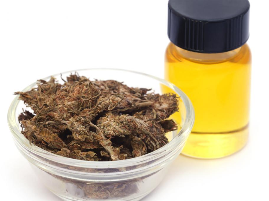 cannabis oil