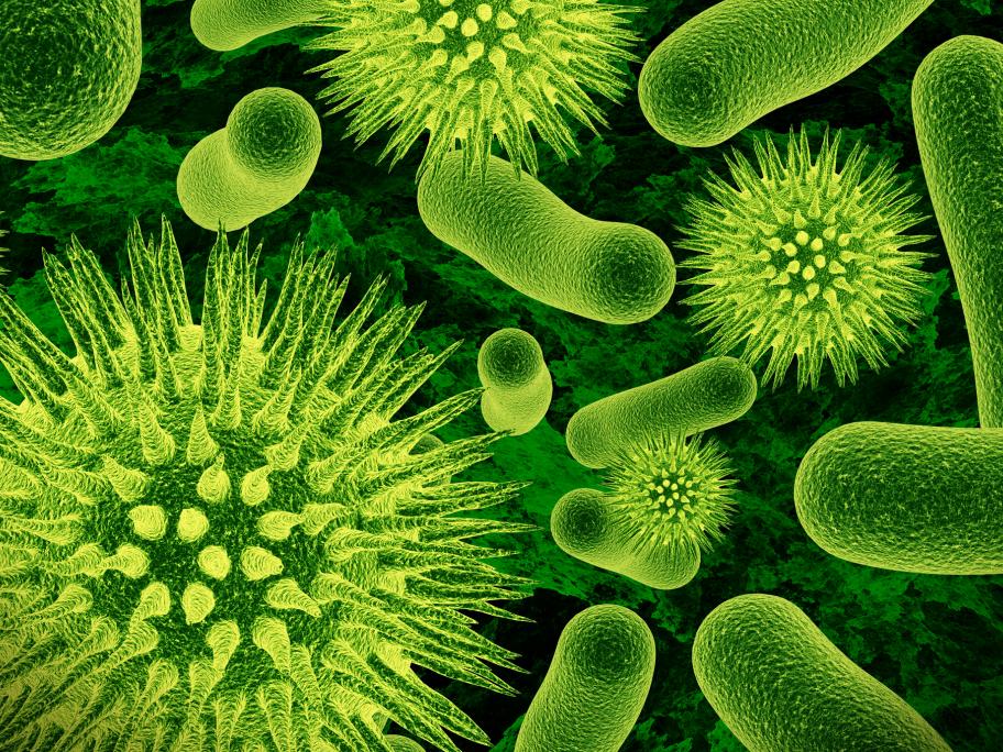 superbug concept
