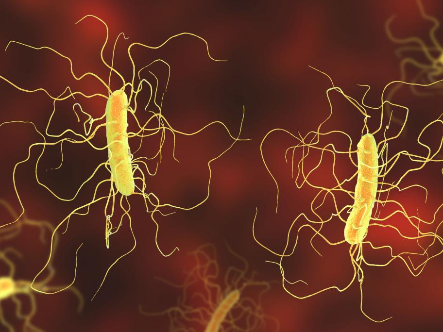 C. diff