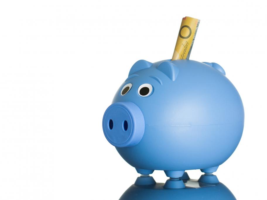 Piggy bank pay inequality