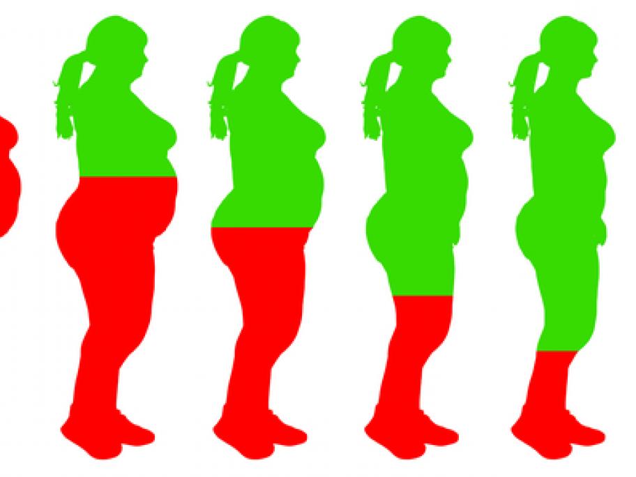 fat to slim