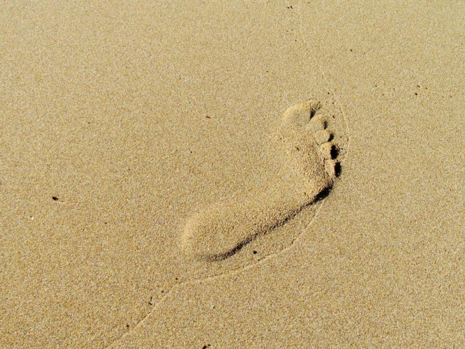 footprint in sand