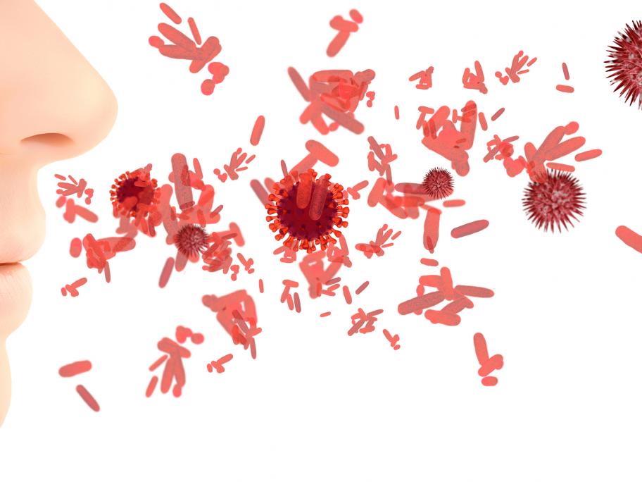 influenza spread obesity