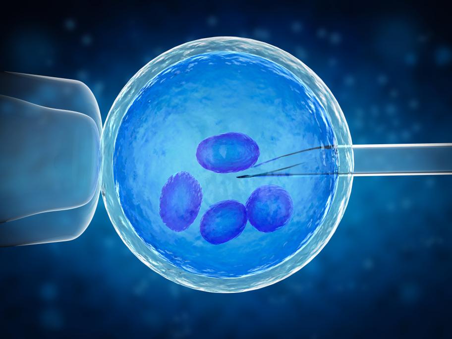 fertility clinics