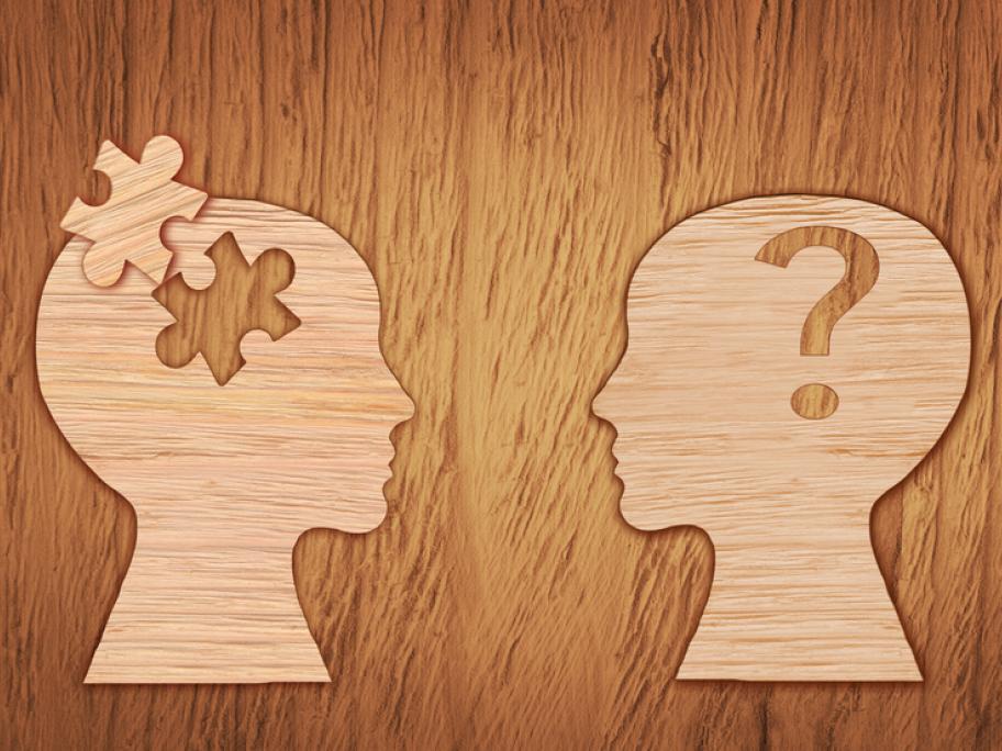 mental health puzzle