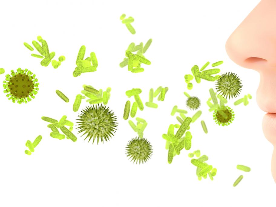 nasal bacteria