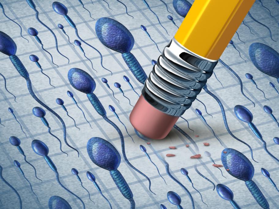 sperm count
