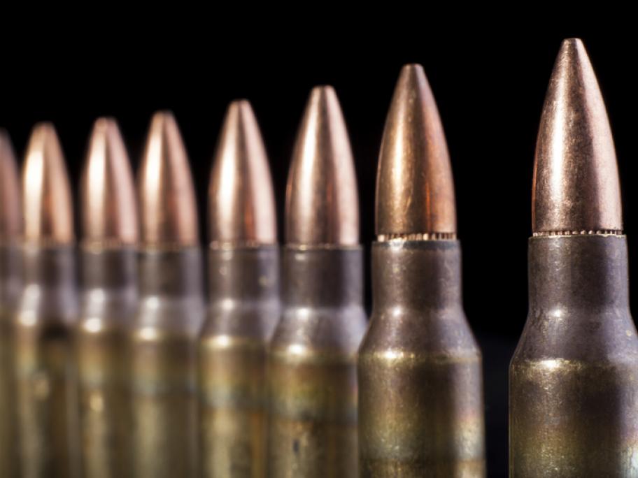 sub machine gun bullets