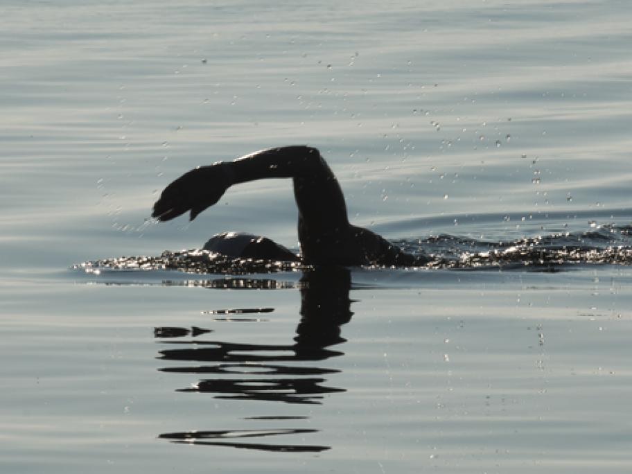 swimming
