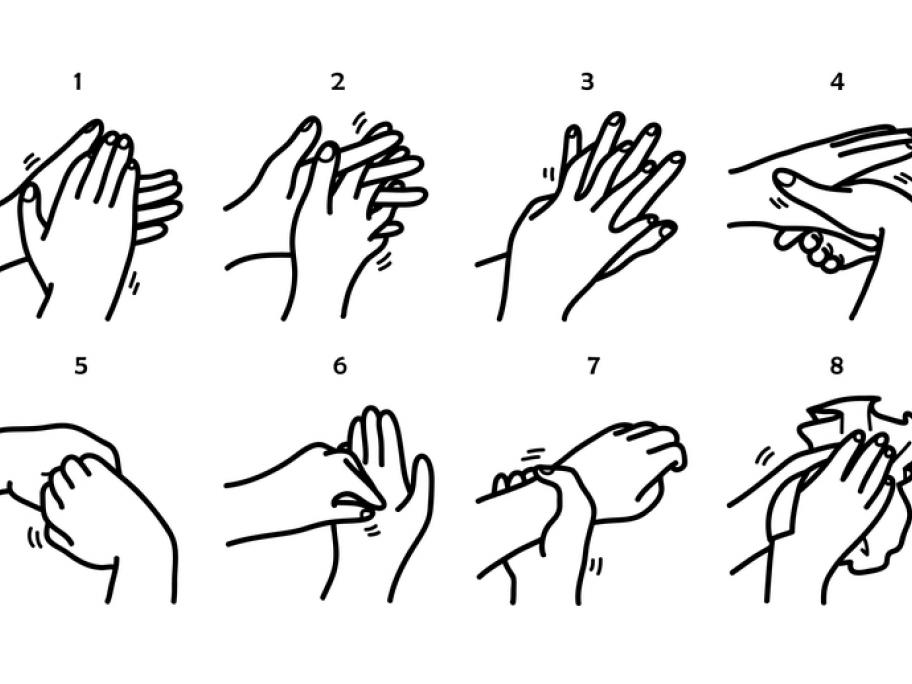 washing hands chart