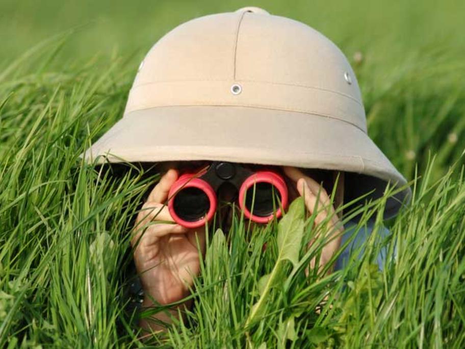 spy