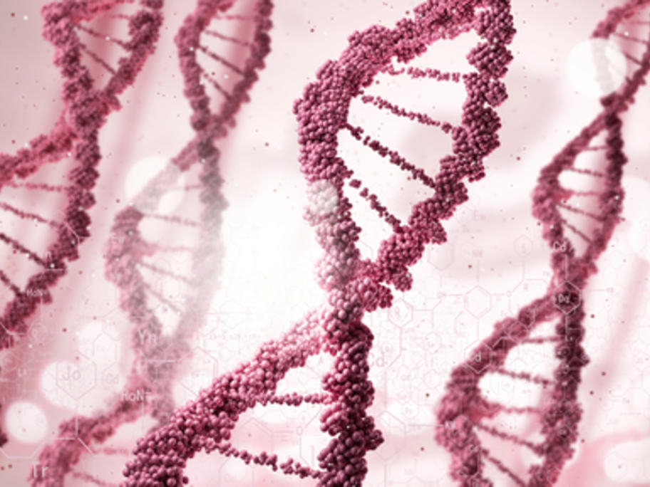 DNA