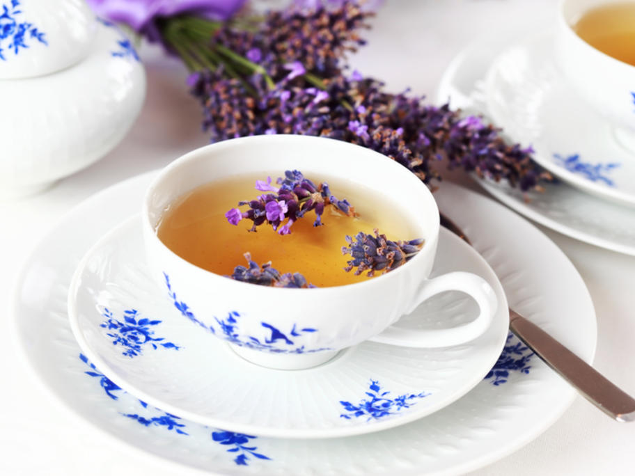 How a soothing cup of lavender tea turned toxic | Australian Doctor Group