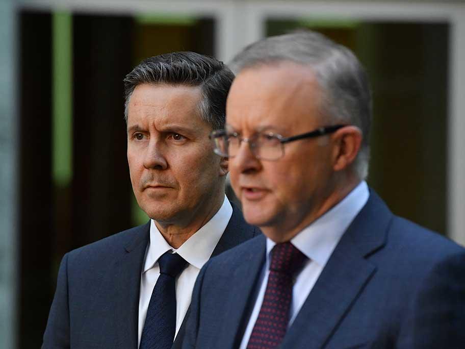 Mark Butler and Anthony Albanese