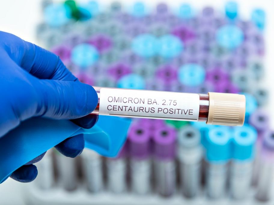 Blood sample