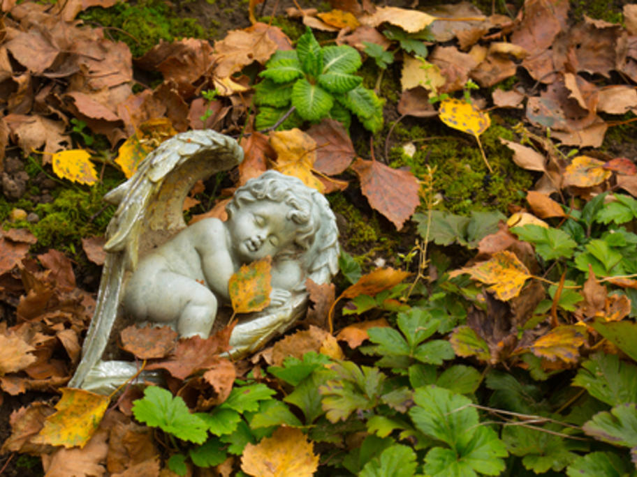 small stone baby angel in graveyard