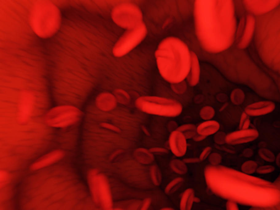 illustration of interior of a blood vessel