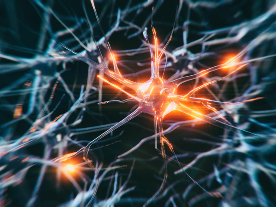 illustration of neurons lighting up in the brain