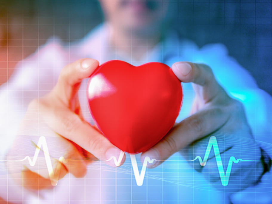 heart and ECG