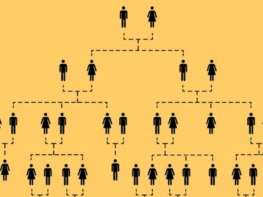 family tree