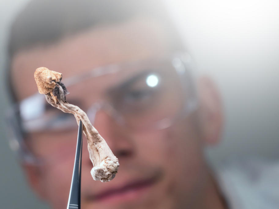 Psilocybin