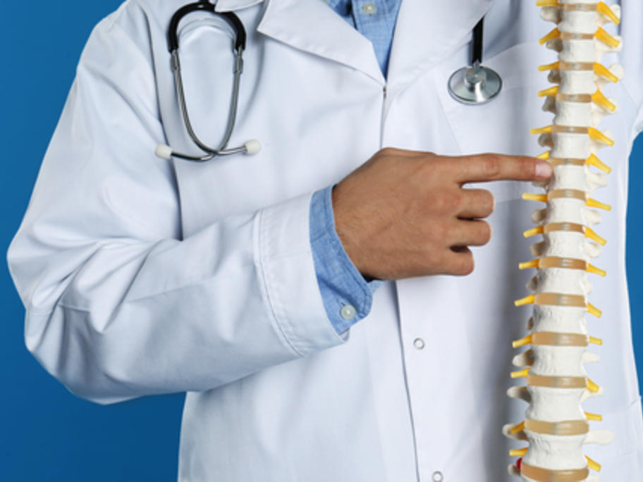 doctor pointing at model of spine