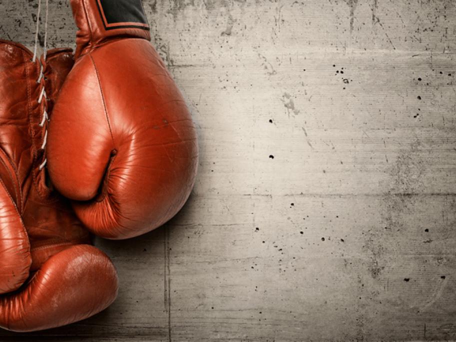 Boxing gloves