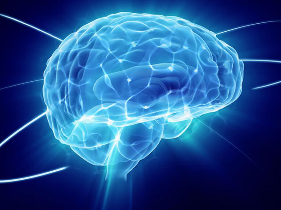 brain activity and ADHD