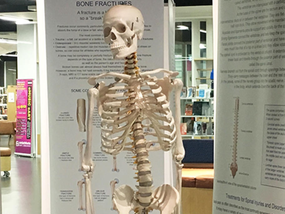 Clarence the skeleton