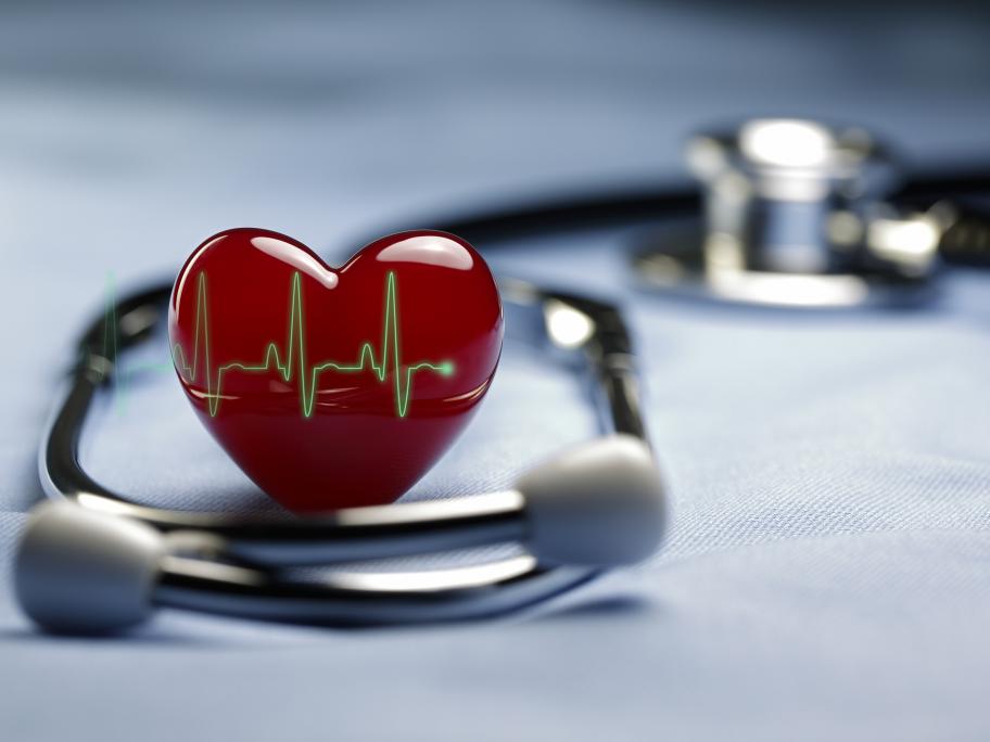 Heart