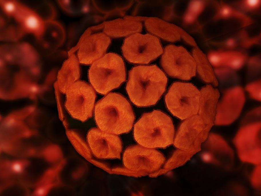 HPV