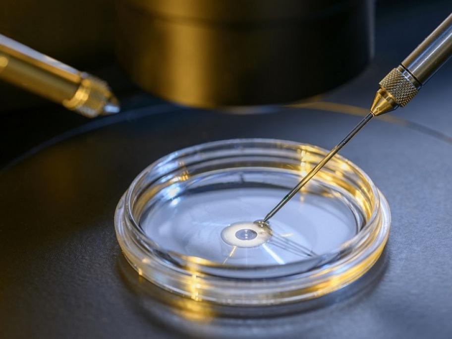 IVF The Medicare Cuts The Government Won t Make Australian Doctor Group ivf-the-medicare-cuts-the-government-won-t-make-australian-doctor-group