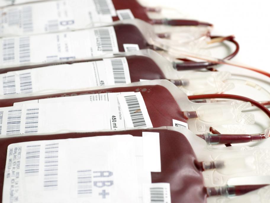 Blood