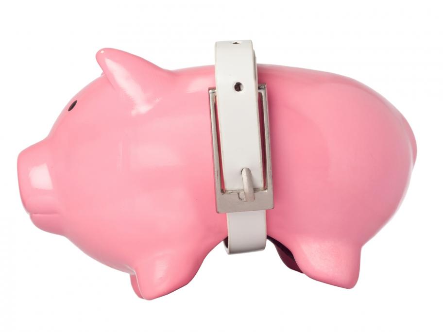 Belt on a pig