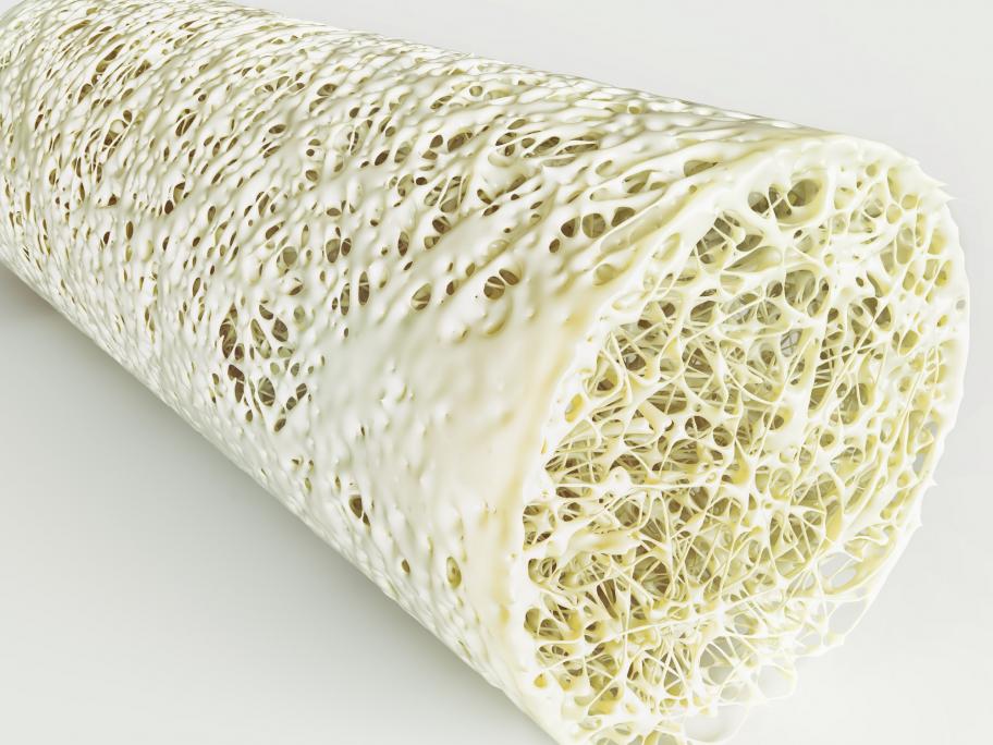bone density