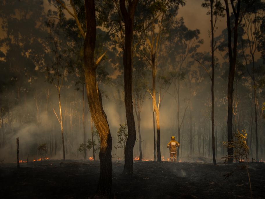 Bushfire