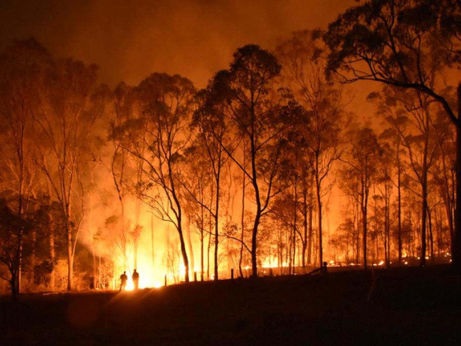 Bushfire