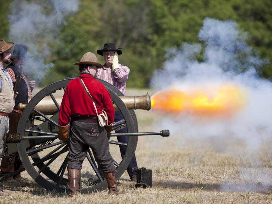 Cannon
