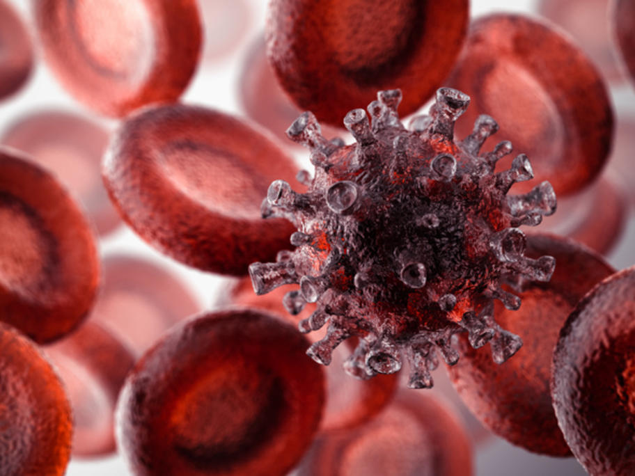 coronavirus and red blood cells