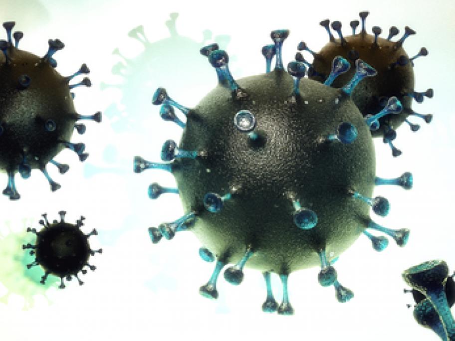 coronavirus