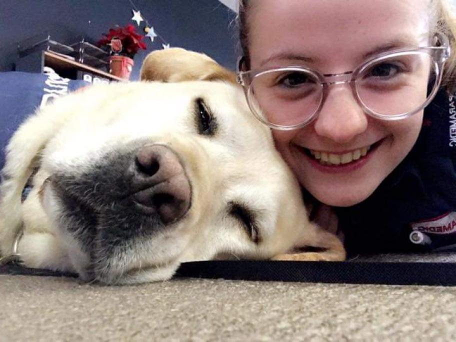 Dog