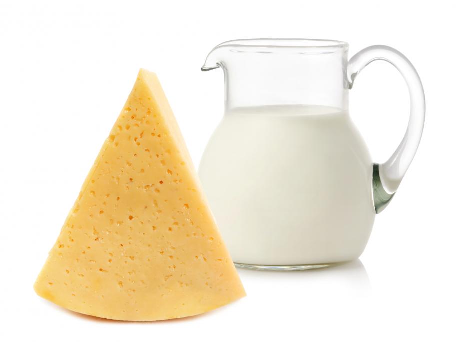 Cheese and milk