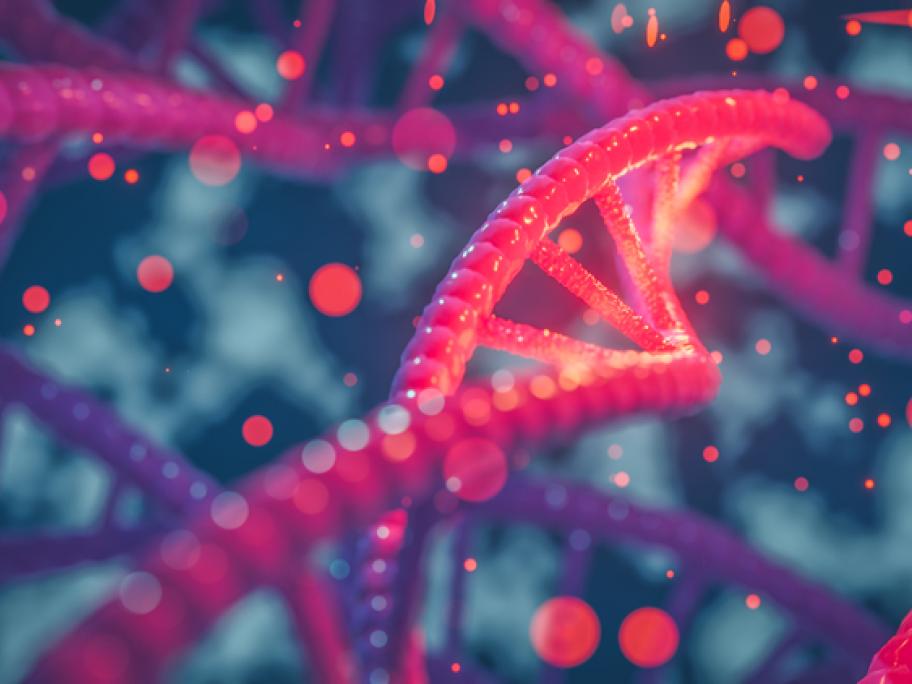 DNA - suggesting BRAF mutation