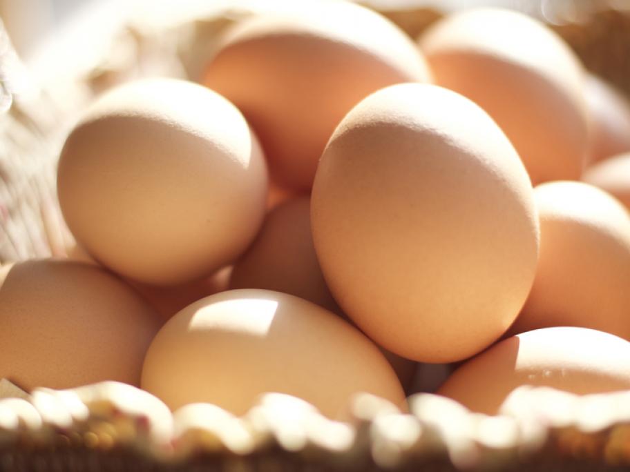 Eggs