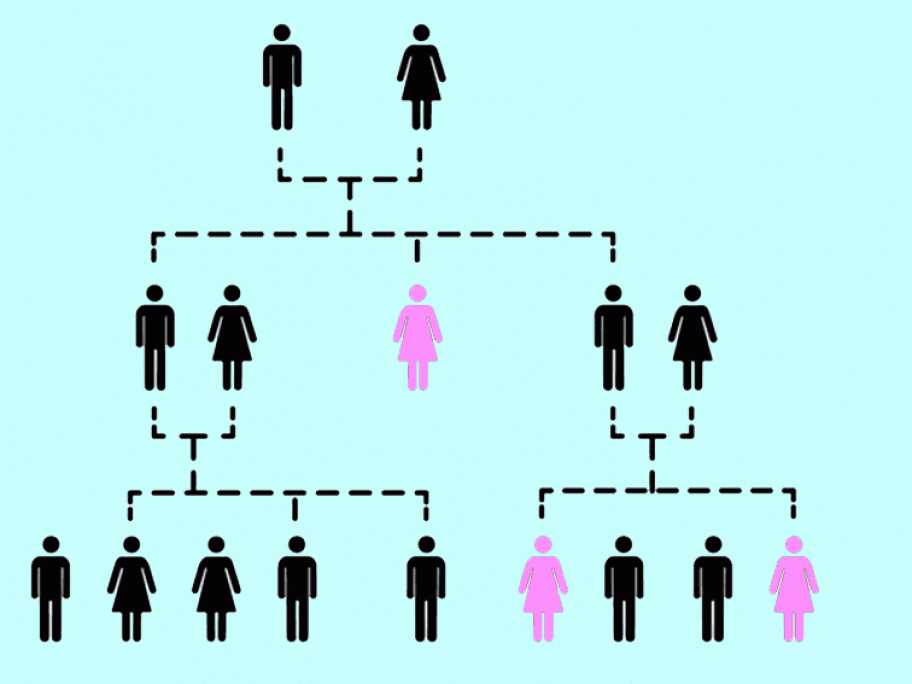 Family tree showing some women affected by breast cancer