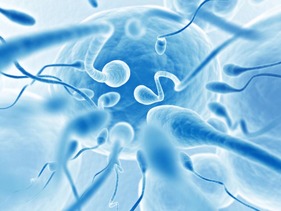 Fertility